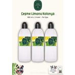 Eyüp Sabri Tuncer Çeşme Limonu Kolonyası Pet Şişe 400 ml 3 Adet ve ROSIE 60'lı