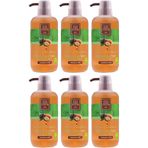 Eyüp Sabri Tuncer Doğal Argan Yağlı 6x600 ml Duş Jeli