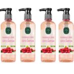 Eyüp Sabri Tuncer Frambuazlı 4x500 ml Sirke & Süper Şampuan