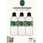 Eyüp Sabri Tuncer Lavanta Kolonyası 3Adet Silindir Pet Şişe 400 ml ve ROSIE Pamuk