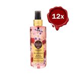 Eyüp Sabri Tuncer The Adventure 12x250 ml Vücut Spreyi