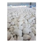 E&Z DOĞAL TAŞ Dolamit Taş 10 Kg 6-8 Cm Dolomit Dekoratif Peyzaj Süs Taşı DL1004