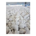 E&Z DOĞAL TAŞ DOLAMİT TAŞ 10 KG 6-8 CM DOLOMİT DEKORATİF PEYZAJ SÜS TAŞI