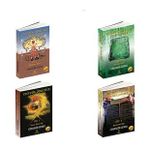 Ezoterik Öğretiler Ansiklopedisi / 4 Kitap Set