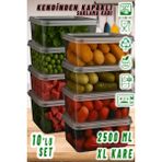 Ezupack 2,5 Lt XL Kare Kendinden Kapaklı Saklama Kabı Mikrodalga ve Derin Dondurucu İçin Pratik Kullanım