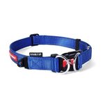 Ezydog Double Up Mavi XLarge Köpek Boyun Tasması