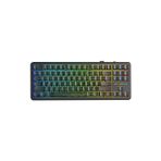 F87 PRO Mekanik RGB TKL Kayhua İntelligent Switch Kablosuz Makrolu Hot Swap Klavye Desenli Siya