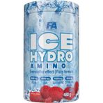 FA Nutrition Fa Ice Hydro Amino(Eaa+Glutamin+Bcaa) 480 G