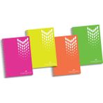 Faber Castell Bls. PP Kapak Seperatörlü 100 Yaprak 4 Bölüm Krşk. Defter