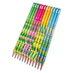 Faber-Castell Kaktüs Desenli Kurşun Kalem Seti, 2B, 12 Adet, Renkli