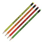 Faber-Castell Kurşun Kalem Style Silgili