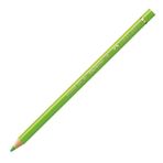 Faber-Castell Polychromos Lıhgt Green Kuru Boya Kalemi