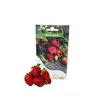 FABEY Çilek Fragaria Tohumu 100 Adet