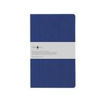 Fabio Ricci Lepidus 13x21 cm Saks Mavisi Kareli Defter