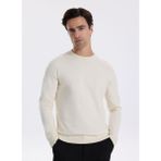 Fabrika Bisiklet Yaka Slim Fit Düz Ekru Erkek Kazak F5WM-KZK 2883 - 2XL