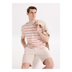 Fabrika Kahverengi Erkek Relaxed Çizgili T-Shirt F6SM-TST 2100