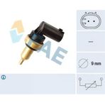 FAE 32706 HARARET MÜŞÜRÜ BM 04-