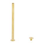Fafeicy Albüm Vidalı Perçin, 5 Adet M5 Düz Başlı Perçin Bakır Demir Kaplama İçi Boş Bağlama Vidaları Scrapbooking Için Perçin Çeşitleri Kiti, Leathercraft Perçinler (M5 * 75 (5 adet))