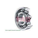 FAG 60082RSR Volant Bilyasi 322033677R 6065546 6200083