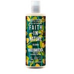 Faith In Nature Jojoba Normal&Kuruya Dönük Saçlar İçin Saç Bakım Kremi