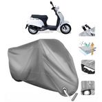 Falcon Soft 50 VINLEKS Motor Brandası