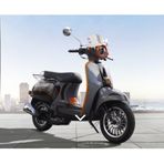 Falcon Turtle 50 CC Scooter Motosiklet Gri