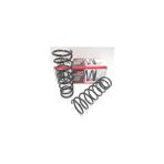 Fam Nissan Micra K11 98/02 Arka Helezon Yayı Sağ/sol (2li Set) (10,75X112) (Stdr)