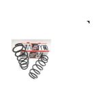 Fam Peugeot 306 Sd/hb 93/96 Ön Helezon Yayı Sağ/sol (2li Set)1.4/1.8cc (12X157X429)(STDR)