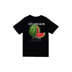 Fame-Stoned Diyarbakır - 21 - Surlar - Karpuz - Şehir Baskılı Unisex %100 Pamuk Siyah T-Shirt