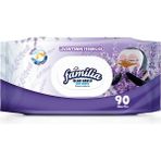 FAMILIA ISLAK MENDİL 90
