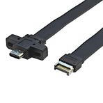 Fangxuee Konnektörler USB 3.2 Ön Panel Uzatma Kablosu, GEN2x2 Baffle Kablosu TİPE-E - Şasi Tip-C Ön C Dişi 10G/20Gbps B