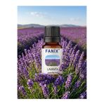 FANİX Lavanta Uçucu Yağ Esansiyel Yağ Uçucu Koku Yağı Buhurdanlık Yağı Hava Nemlendiriciler Için Uçucu Yağı Difüzör Esansı Aromaterapi Yağı Hava Nemlendirici 20 ml