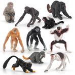 Fantarea Vahşi Yaşam Orman Hayvan Modeli Playsets 10 ADET Mini Maymun Figürler Proboscis Maymunlar Japon Makaklar Marmosets Gibbons Lemurs Action Figure Oyuncak Çocuk Çocuklar için Dekor Hediye