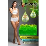 FANTASTİK SANAT ATÖLYESİ Sivilce, Akne, Cilt Tahribatı, Güneş Lekesi, Yaşlanma Karşıtı Etkili Aloe Vera El Ve Banyo Sabunu