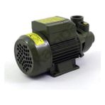 Fantastik Store Style QB60 0.5 Hp Elektrikli Su Dinamosu ( Lisinya )