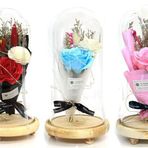 Fanus Gül 28/14cm Cam Fanus Led Işıklı Hediyelik