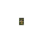 Far Wilder Magic - Allison Saft