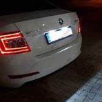 Fardoktoru Skoda Octavia Ii Led Plaka Ampulü Dekoder Seti