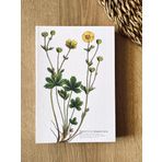 Fark Tanıtım Özel Tasarım Baskılı Kapaklı A5 Kareli Potentilla Neumanniana Kapak Defter