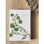 Fark Tanıtım Özel Tasarım Baskılı Kapaklı A5 Kareli Ranunculus Lenormand Kapak Defter