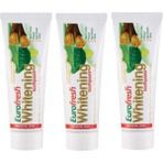 Farmasi 3x25 gr Eurofresh Aloe Veralı Misvaklı Beyazlatıcı Diş Macunu