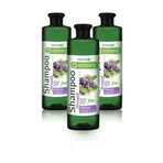 Farmasi 3x500 ml Botanics Adaçayı Özlü Güçlendirici Şampuan