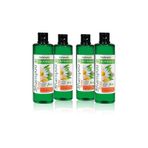 Farmasi 4x500 ml Botanics Herbal Mix Shampoo