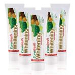 Farmasi 5x112 gr Eurofresh Aloe Veralı Misvaklı Beyazlatıcı Diş Macunu