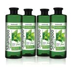Farmasi Botanics 4x500 ml Isırgan Özlü Parlaklık Veren Şampuan