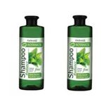 Farmasi Botanics 500 ml 2 Adet Isırgan Özlü Parlaklık Veren Şampuan