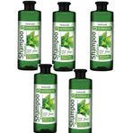 Farmasi Botanics 5x500 ml Isırgan Özlü Parlaklık Veren Şampuan