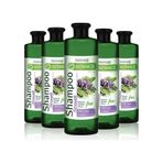 Farmasi Botanics Adaçayı Özlü Şampuan 5 x 500 ML