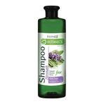 Farmasi Botanics Adaçayı Özlü Şampuan