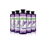 Farmasi Botanics Lavanta Özlü Rahatlatıcı 5×500 ml Duş Jeli
